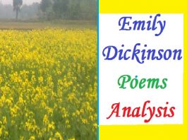 Emily Dickenson poems analysis