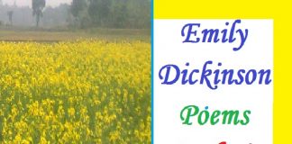Emily Dickenson poems analysis