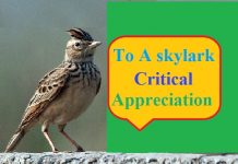 to a skylark critical appreciation