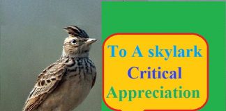 to a skylark critical appreciation
