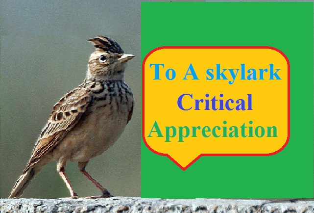 to a skylark critical appreciation theme and summary