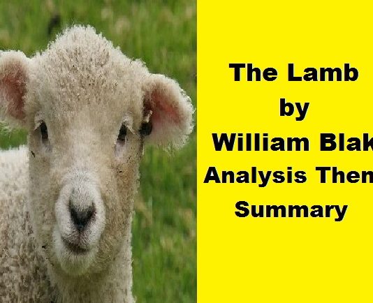 the lamb william blake theme