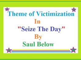 Theme of victimization in seize the day by Saul Below